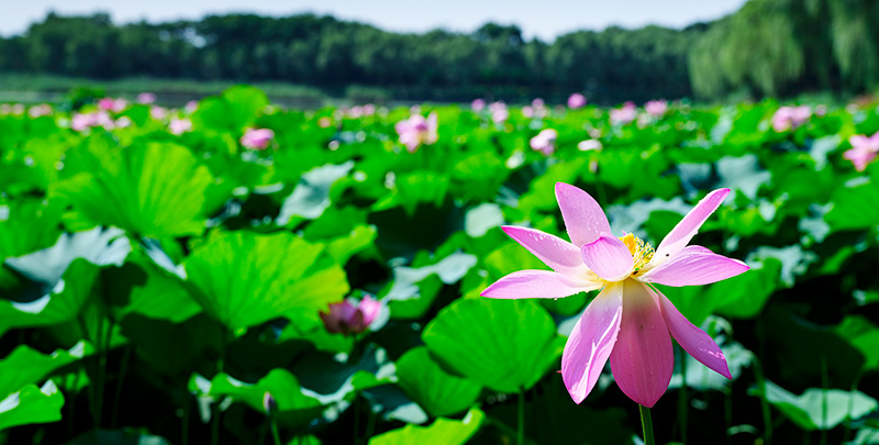 鸿运国际·(中国)集团-鸿运官网接待你